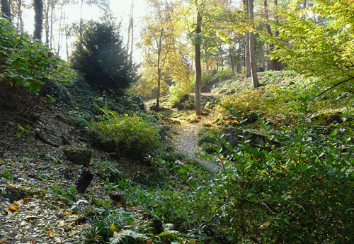 Felsengarten im Fort VI